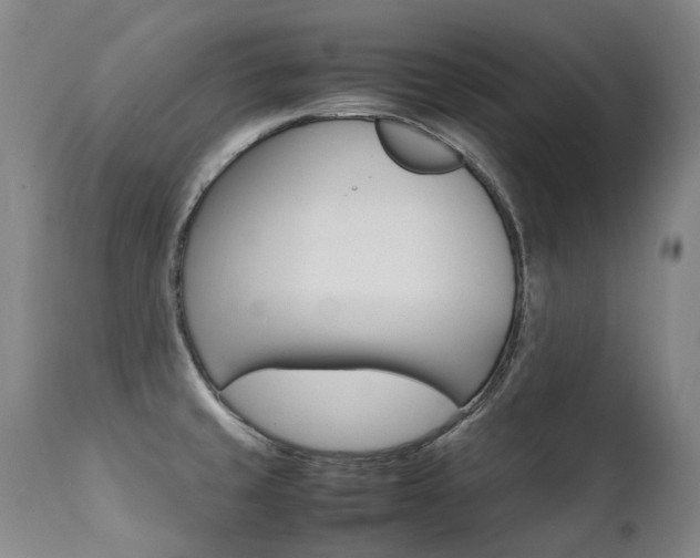 X0000111391429200907100950