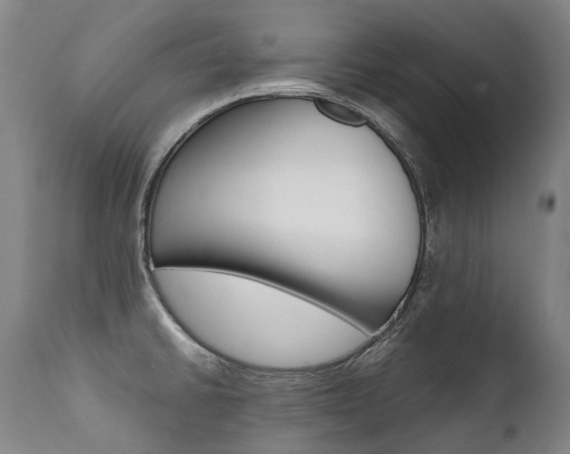 X0000111391430200907100950
