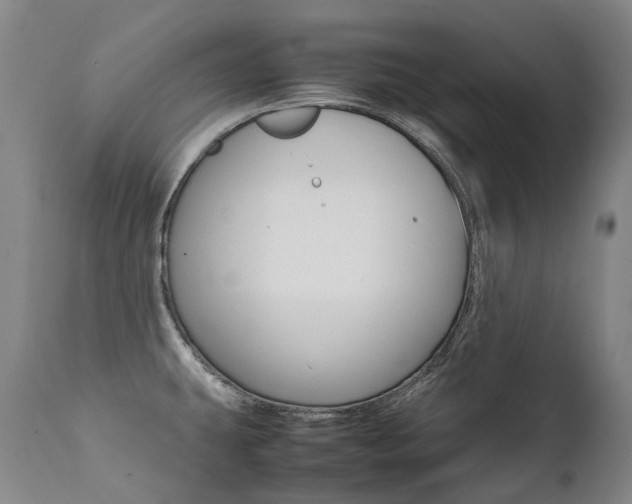 X0000111391431200907100950