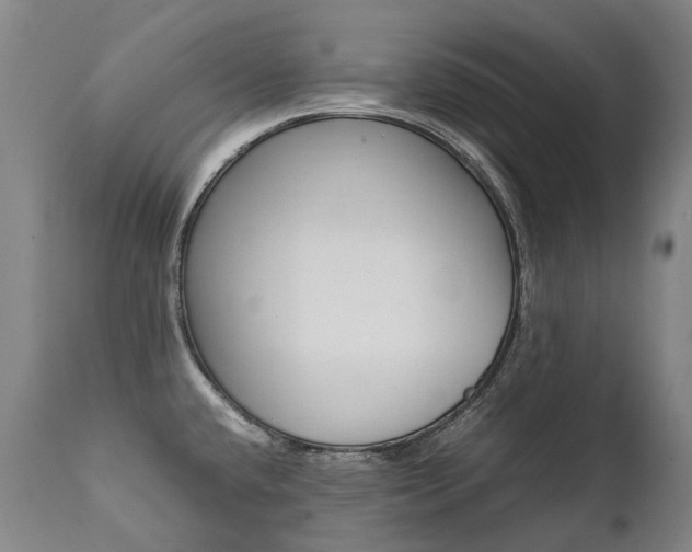 X0000111391432200907100950