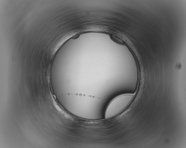 X0000111391433200907100950