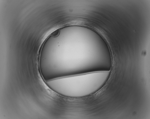 X0000111391434200907100950