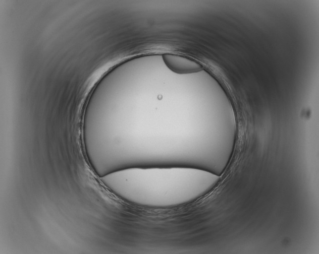 X0000111391435200907100950