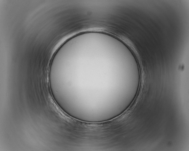 X0000111391436200907100950