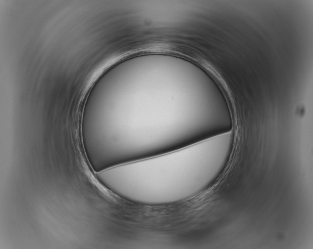 X0000111391437200907100950