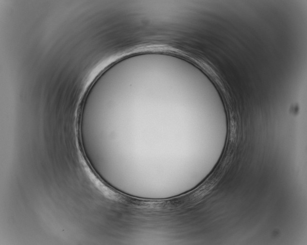 X0000111391438200907100950