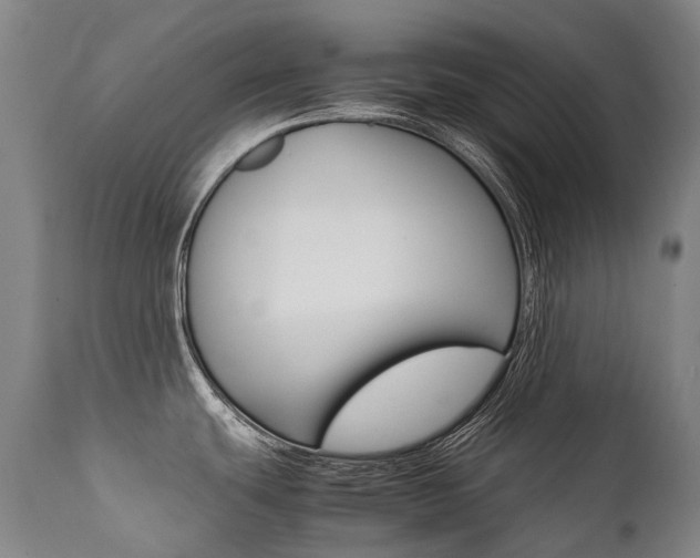 X0000111391439200907100950