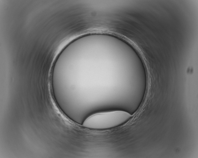X0000111391440200907100950