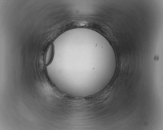 X0000111391442200907100949