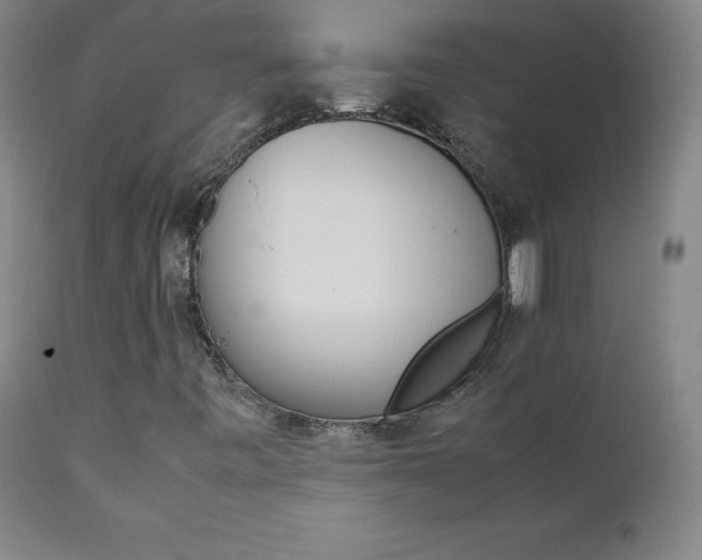 X0000111391443200907100949