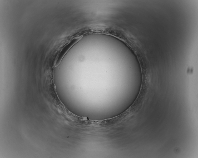X0000111391445200907100949