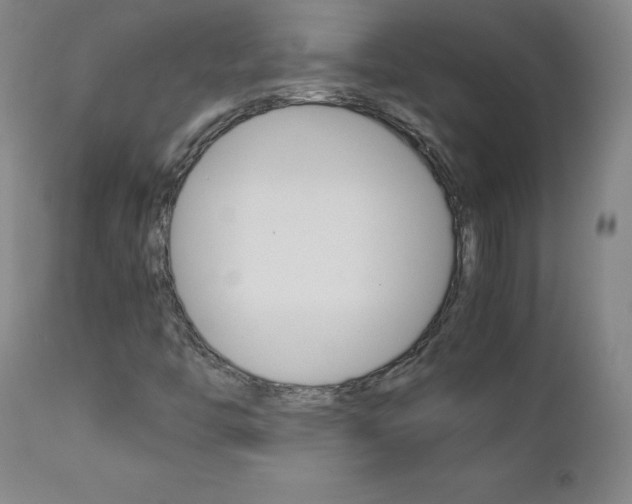 X0000111391446200907100949