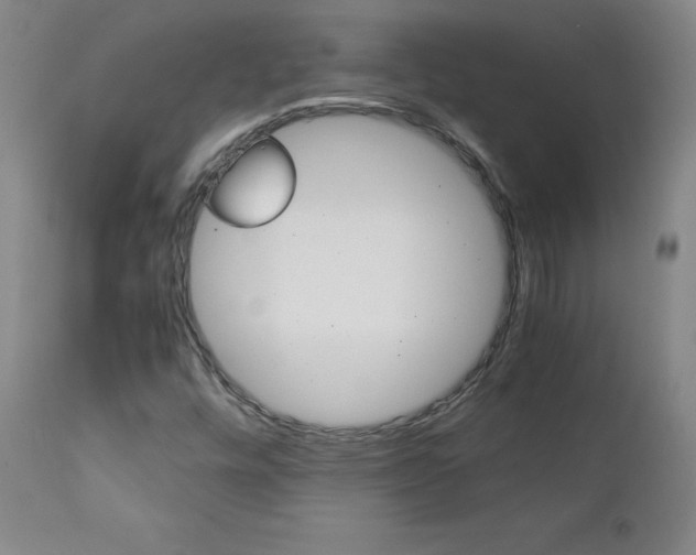 X0000111391448200907100949