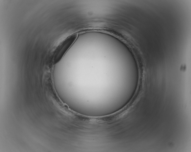 X0000111391449200907100949