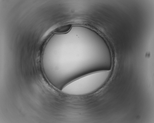 X0000111391450200907100949