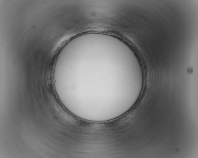 X0000111391451200907100949