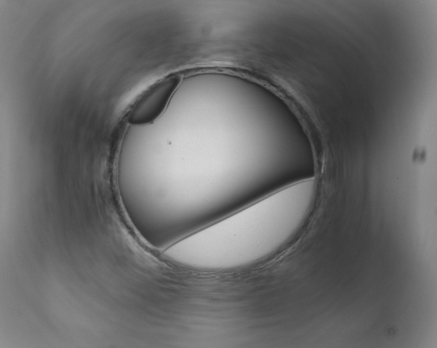 X0000111391452200907100949