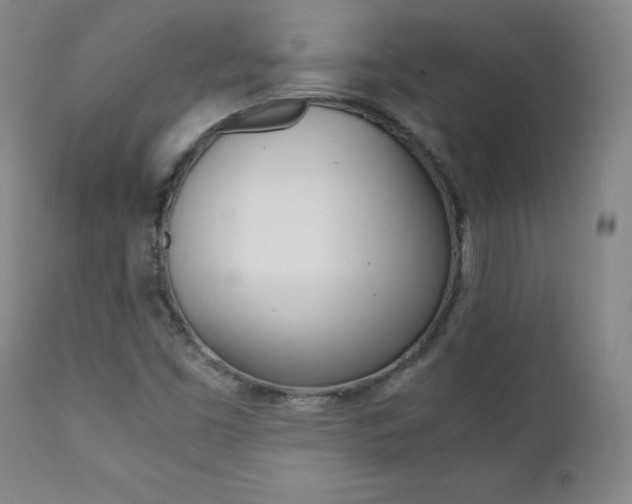 X0000111391453200907100949