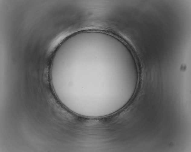 X0000111391455200907100949