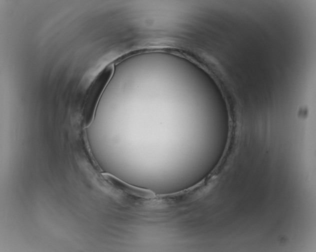 X0000111391457200907100949
