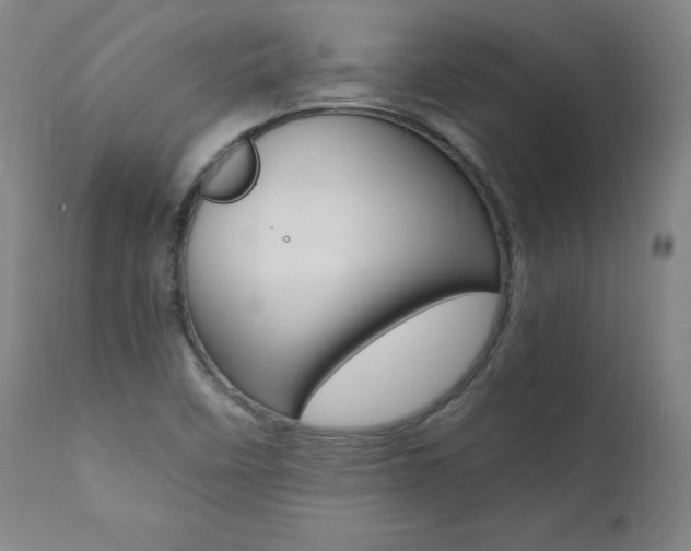 X0000111391458200907100949