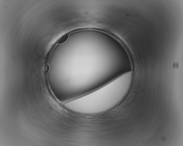 X0000111391460200907100949
