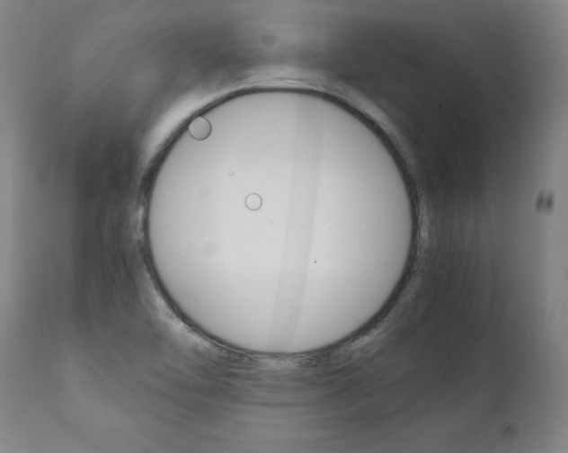 X0000111391462200907100949