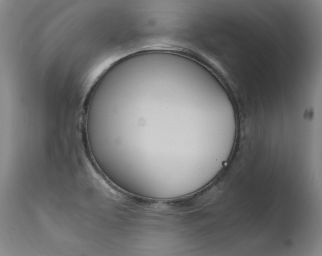 X0000111391463200907100949