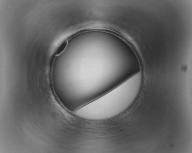 X0000111391464200907100949