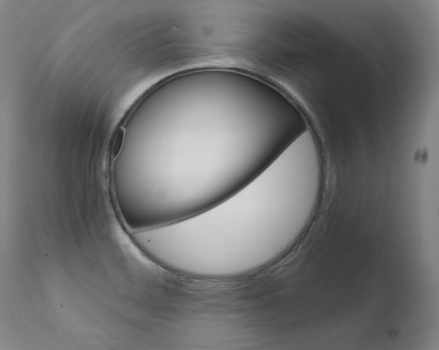 X0000111391468200907100949