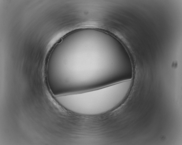 X0000111391469200907100949