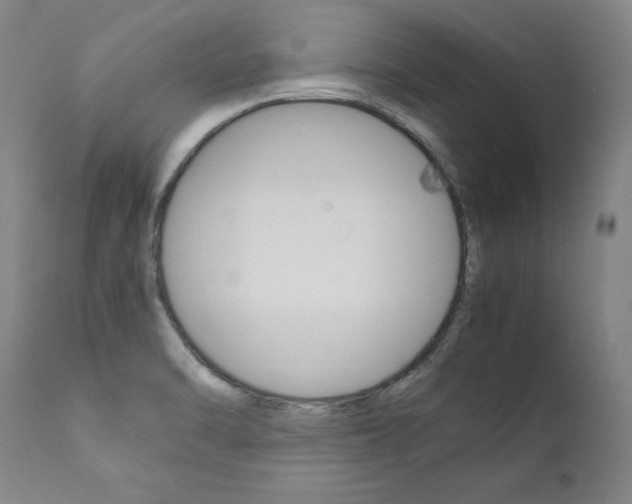 X0000111391470200907100949