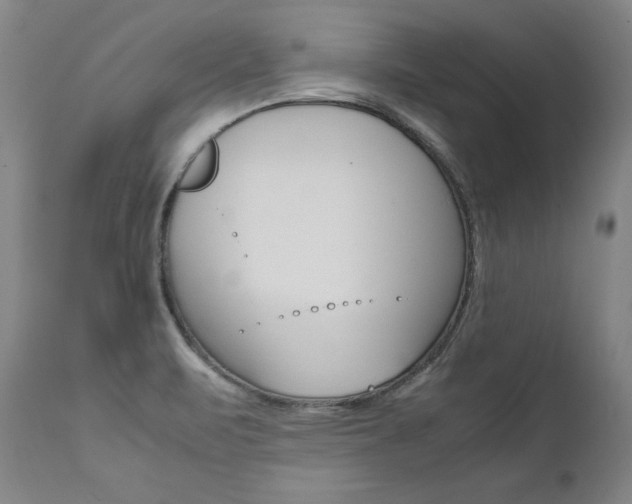 X0000111391471200907100949