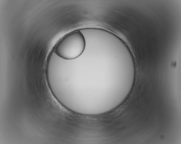 X0000111391472200907100949