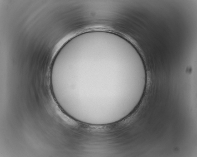 X0000111391474200907100949