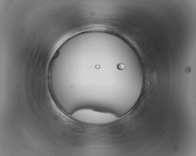 X0000111391475200907100949