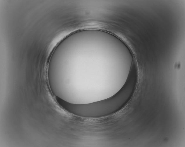 X0000111391477200907100949