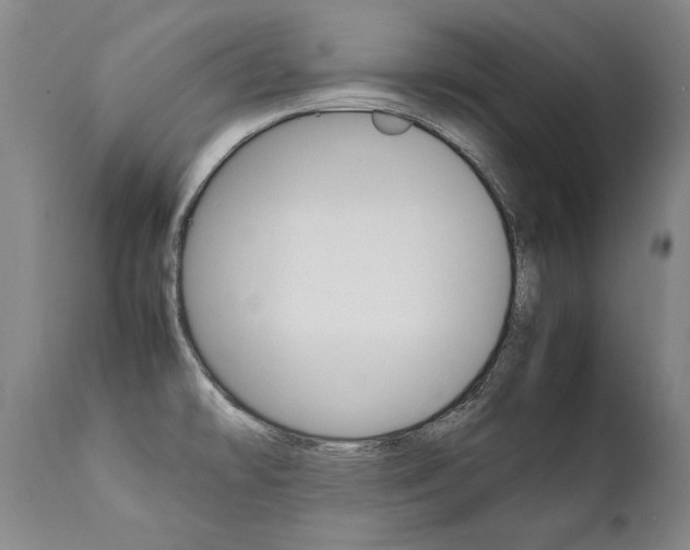 X0000111391478200907100949