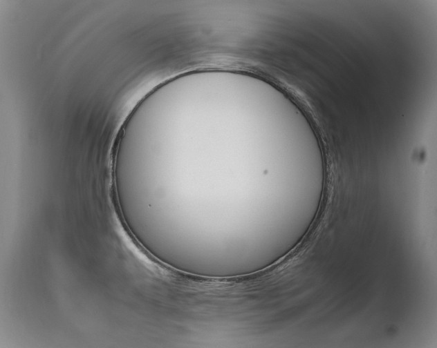 X0000111391479200907100949