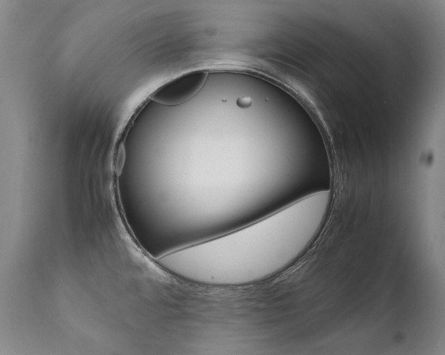 X0000111391480200907100949