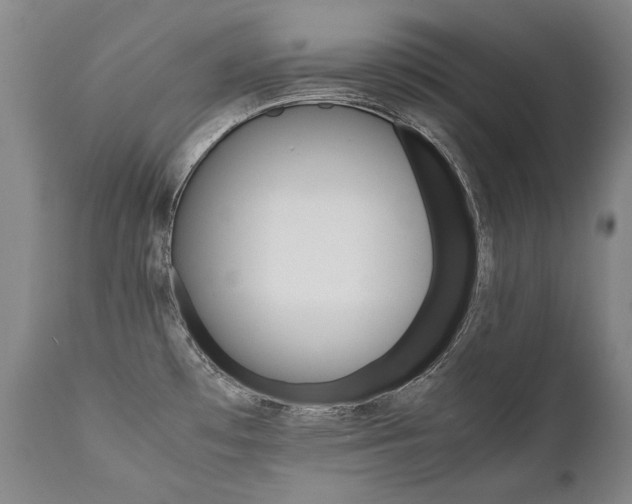X0000111391481200907100949