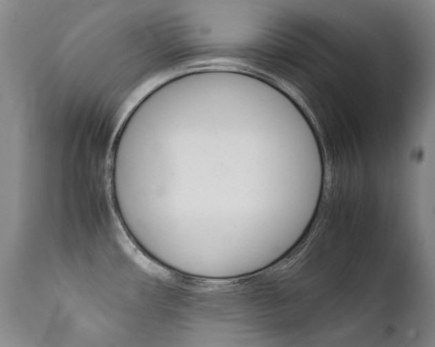 X0000111391482200907100949