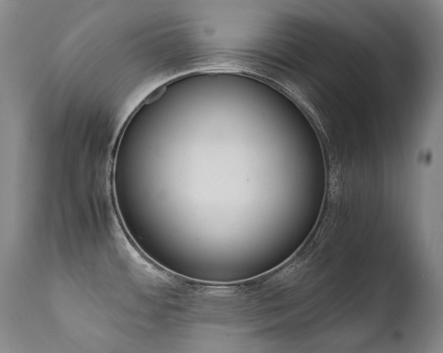 X0000111391484200907100949