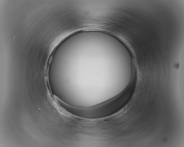 X0000111391485200907100949
