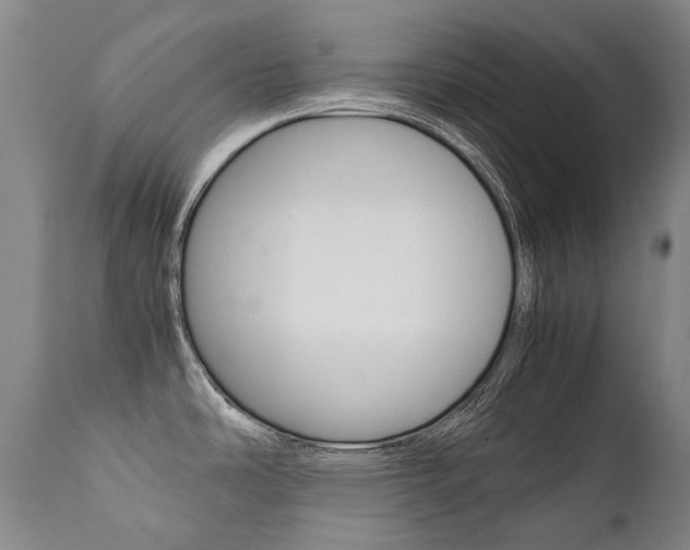 X0000111391486200907100949