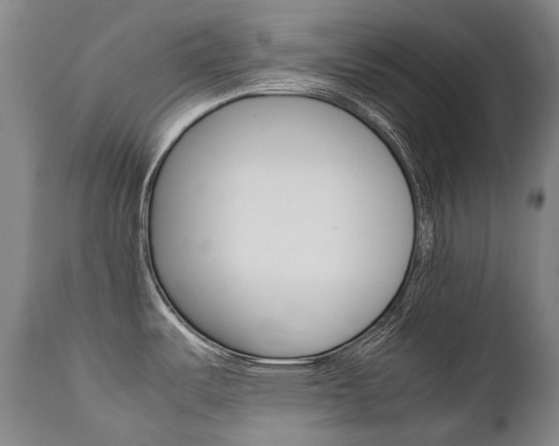 X0000111391487200907100949