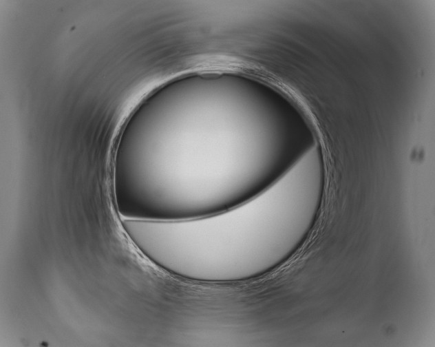 X0000111391488200907100949