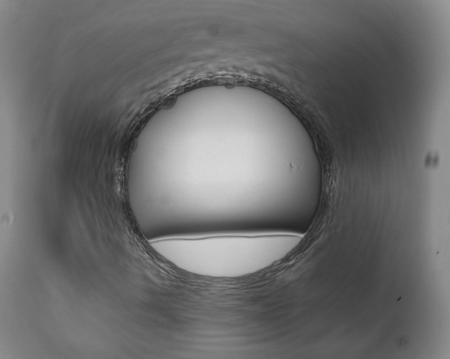 X0000111391490200907100948