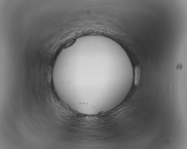 X0000111391491200907100948