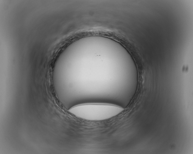 X0000111391493200907100948